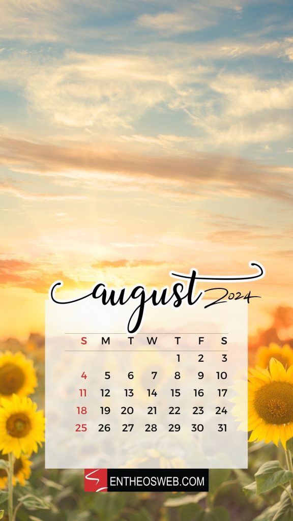 August 2024 phone wallpaper sunflowers background