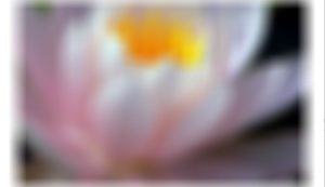 Blur Effect in Flash 8.0