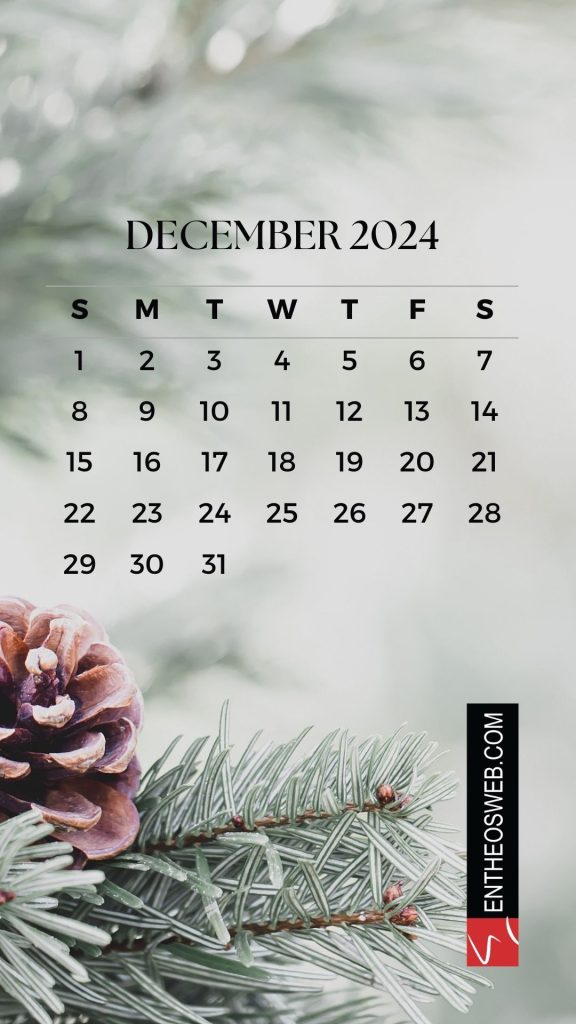December 2024 calendar phone wallpaper