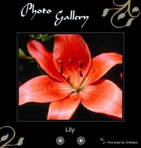 Free Flash Photo Gallery