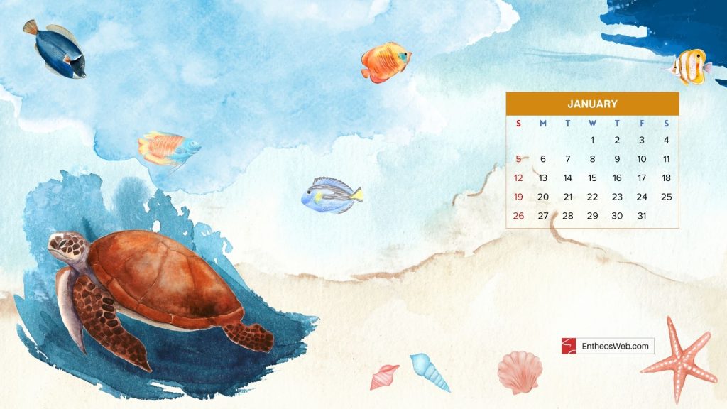 January 2025 calendar4 by entheosweb | January 2025 Wallpaper for Laptops and Desktops | Entheosweb January 2025 calendar desktop wallpaper beach and turtle