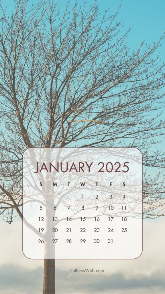 January 2025 calendar phone wallpaper