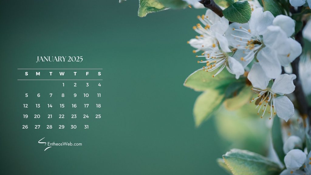 January 2025 Wallpaper | January 2025 Wallpaper for Laptops and Desktops | Entheosweb January 2025 wallpaper white flowers on green background