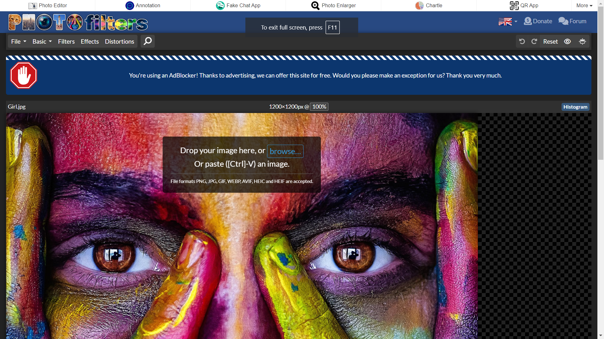 Filter Website Best Photo Effects and Filter Tools | EntheosWeb