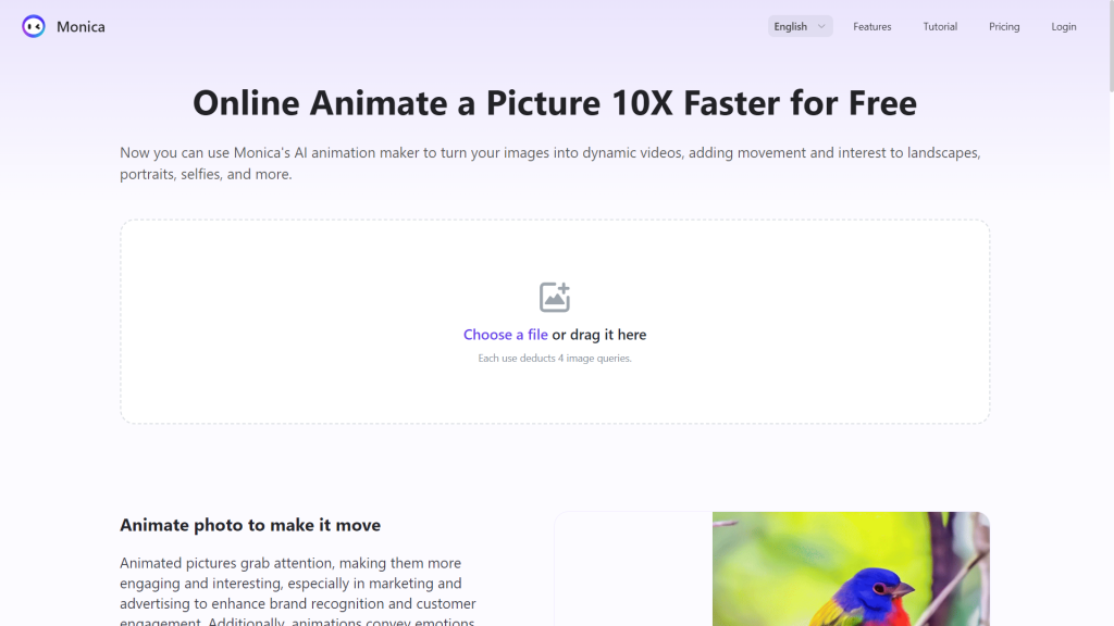 Image 90 | Free Online Photo Animation Makers | Entheosweb Image 90