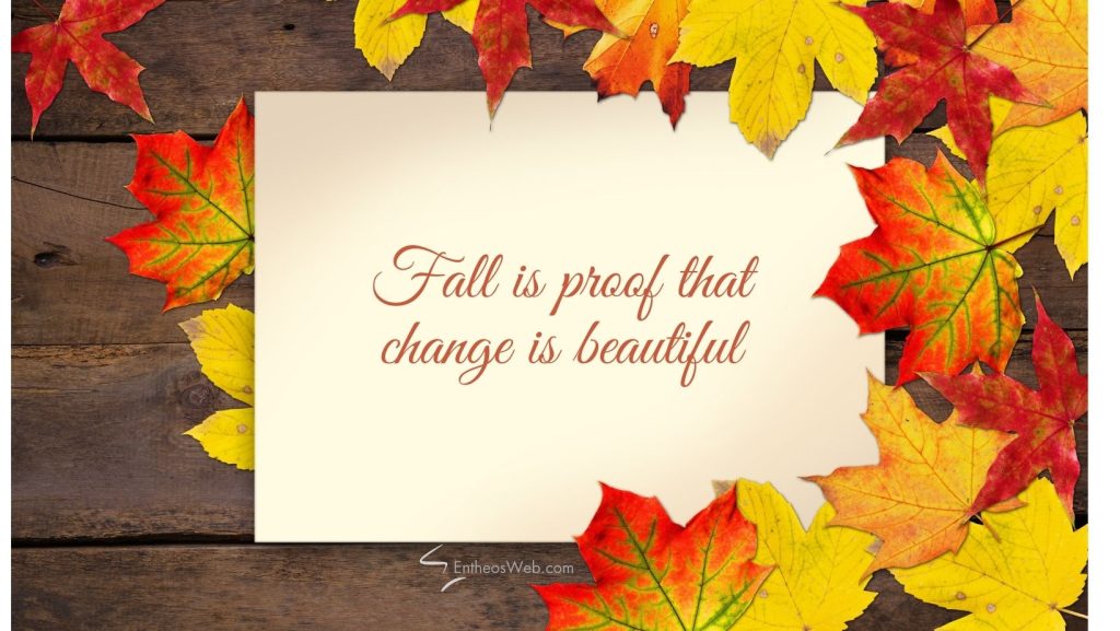 Fall is proof that change is beautiful