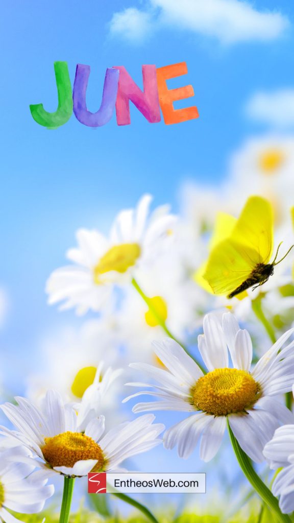 June phone wallpaper backgrounds