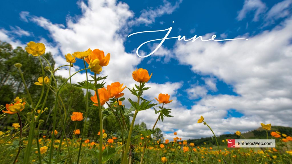 June desktop wallpaper