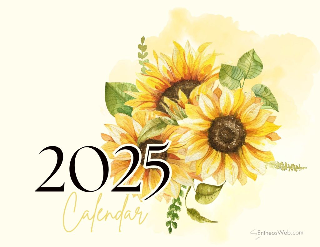 Daisy amp Sunflower Season: Sunshine amp Smiles