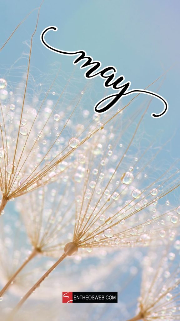 May Wallpaper for Phone EntheosWeb — free download