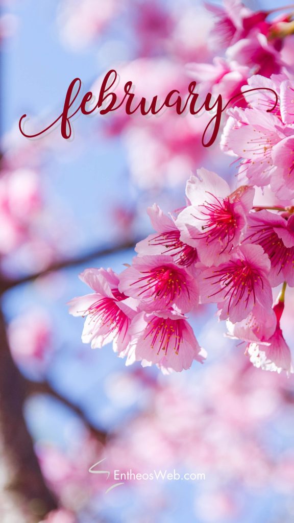 February Phone Wallpaper Backgrounds | EntheosWeb
