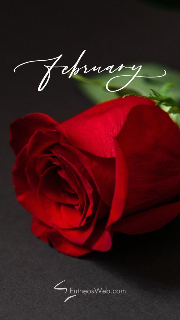 February Roses Background February Phone Wallpaper Backgrounds | EntheosWeb