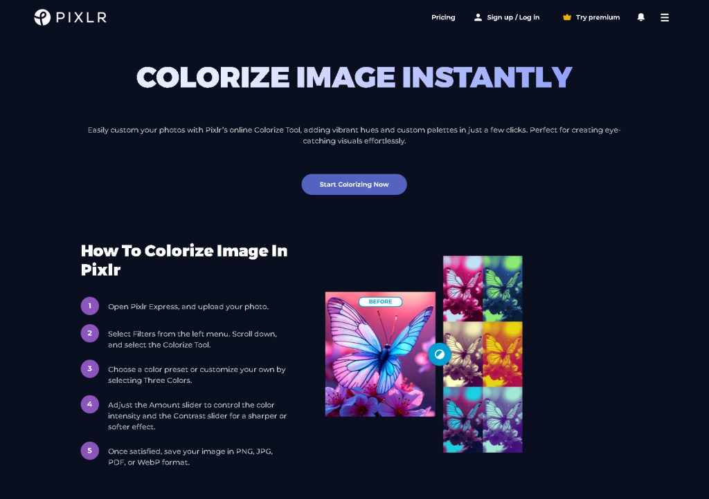 Best Online Tools to Change Black and White Photos to Color | EntheosWeb