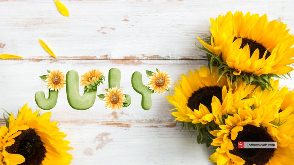 July desktop wallpaper   sunflowers