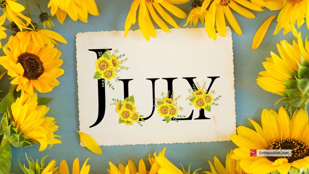 July desktop wallpaper   sunflowers