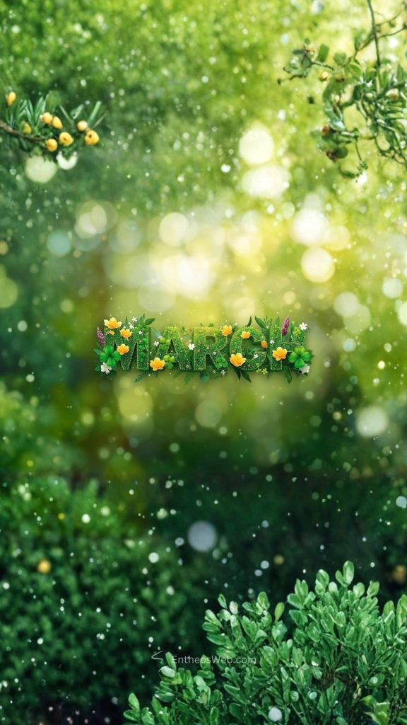 March 3d spring facebook cover
