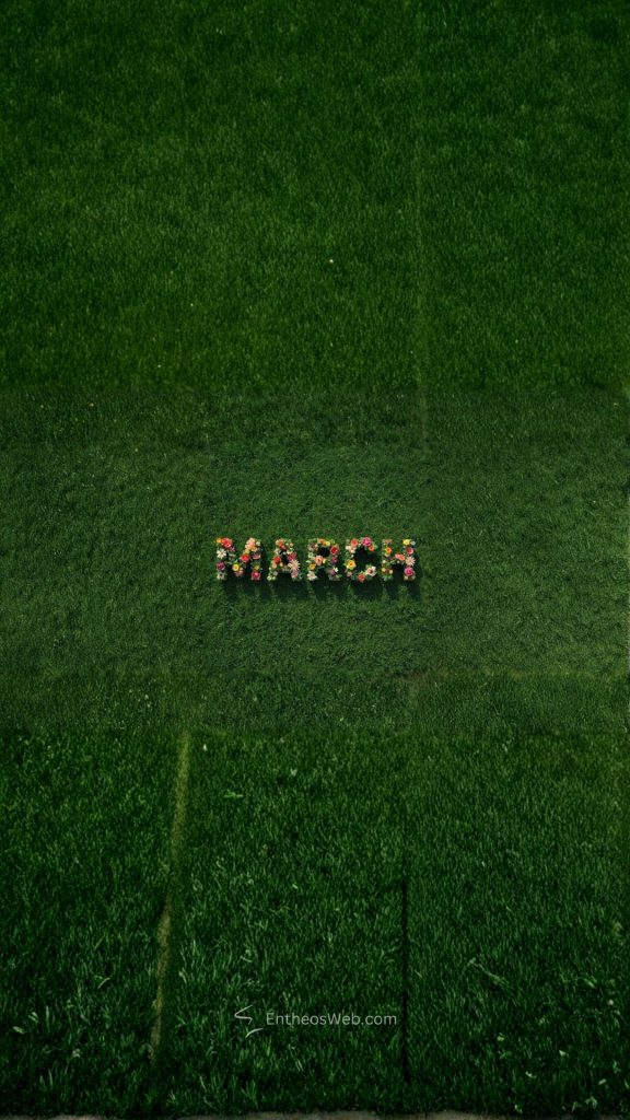 March spring grass facebook cover