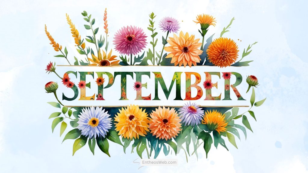 September desktop wallpaper colorful flowers