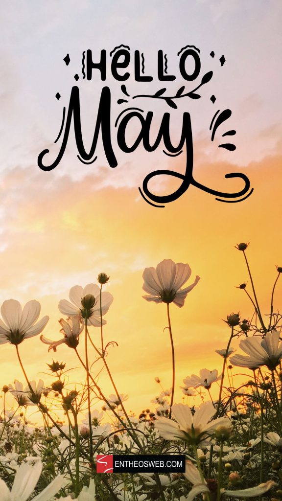 May Wallpaper for Phone EntheosWeb — free download