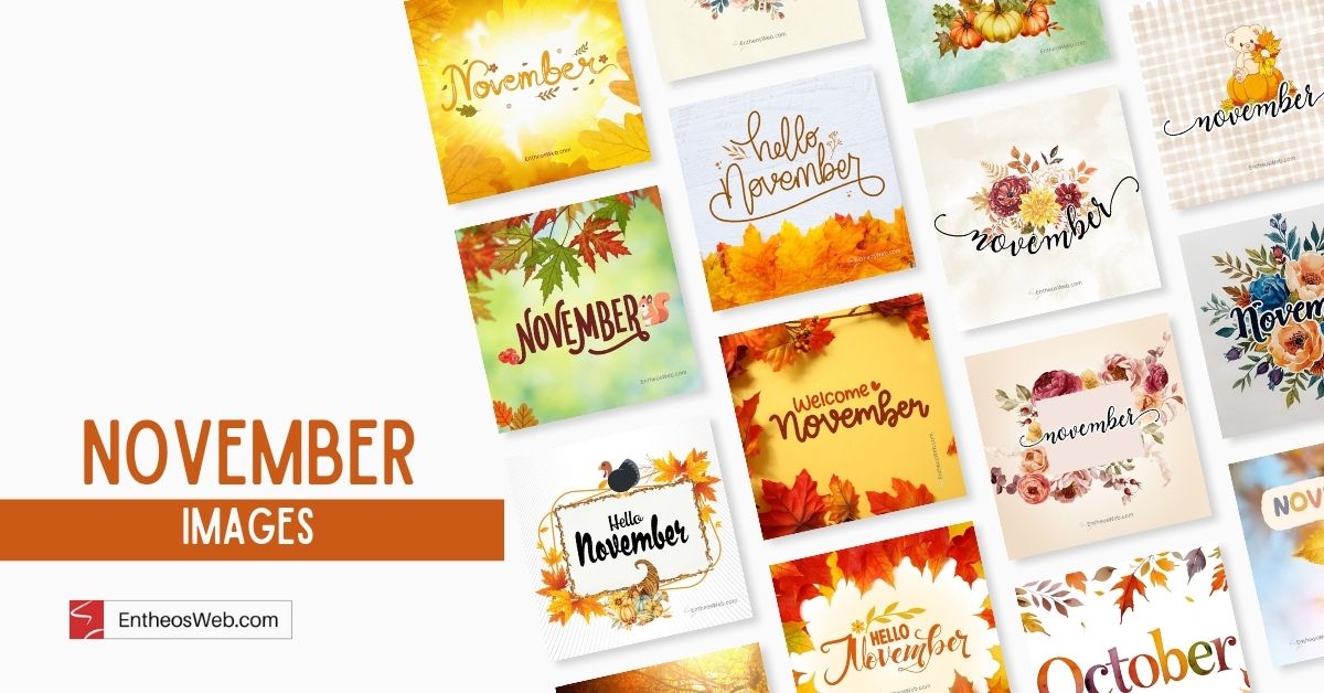 November Images