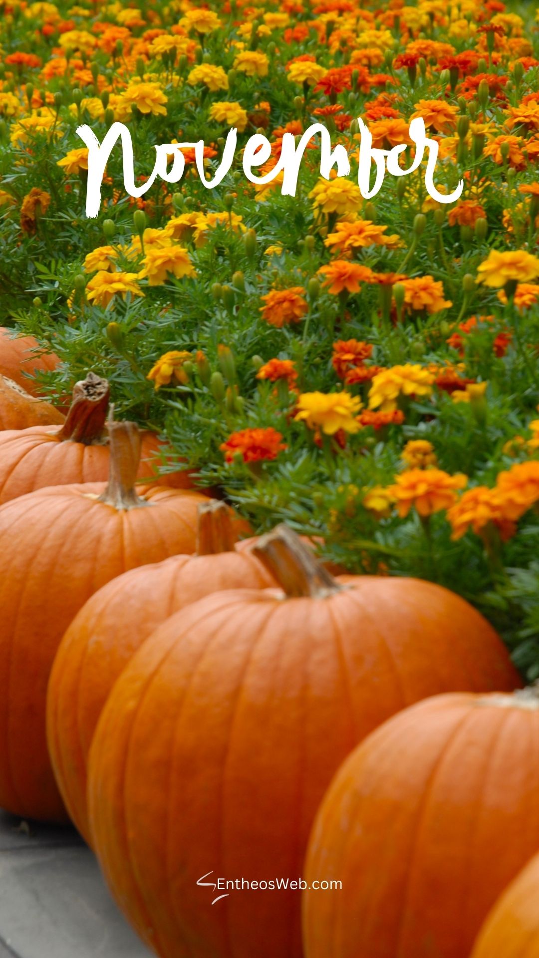 November Phone Wallpaper 12 | November Phone Wallpapers | Entheosweb November phone wallpaper
