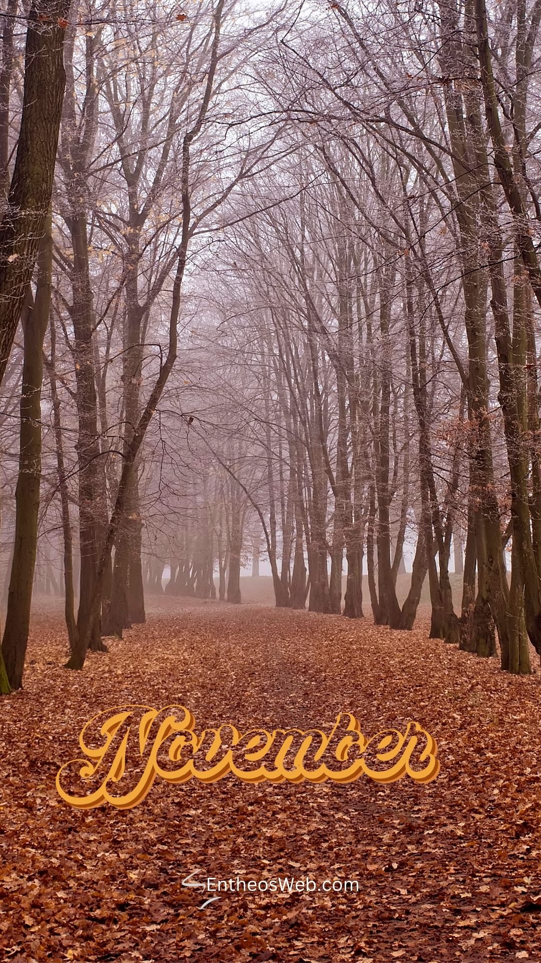 November Phone Wallpaper 16 | November Phone Wallpapers | Entheosweb November phone wallpaper