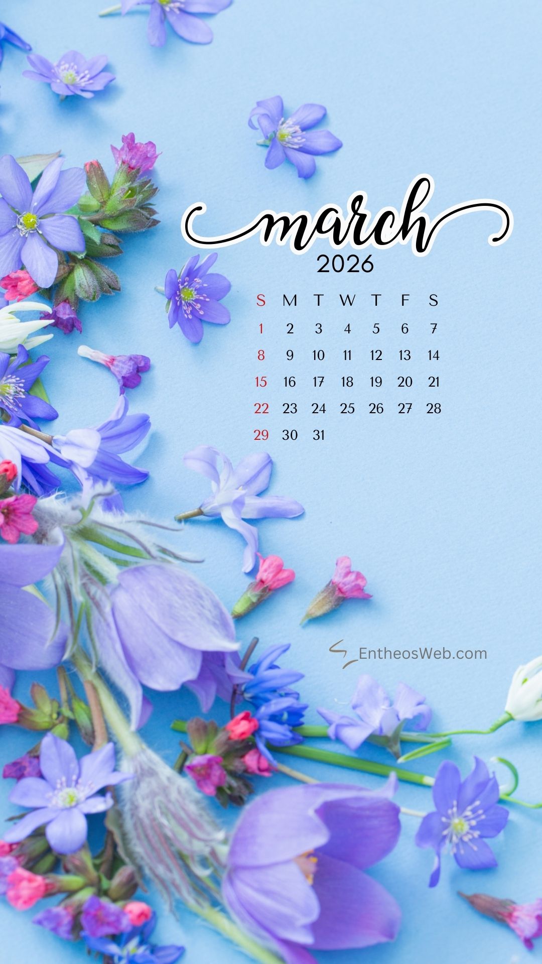 Blue flowers march 2026 phone wallpaper by entheosweb | march calendar wallpaper and screensavers for phones 2026 | entheosweb March 2026 calendar phone wallpaper flowers