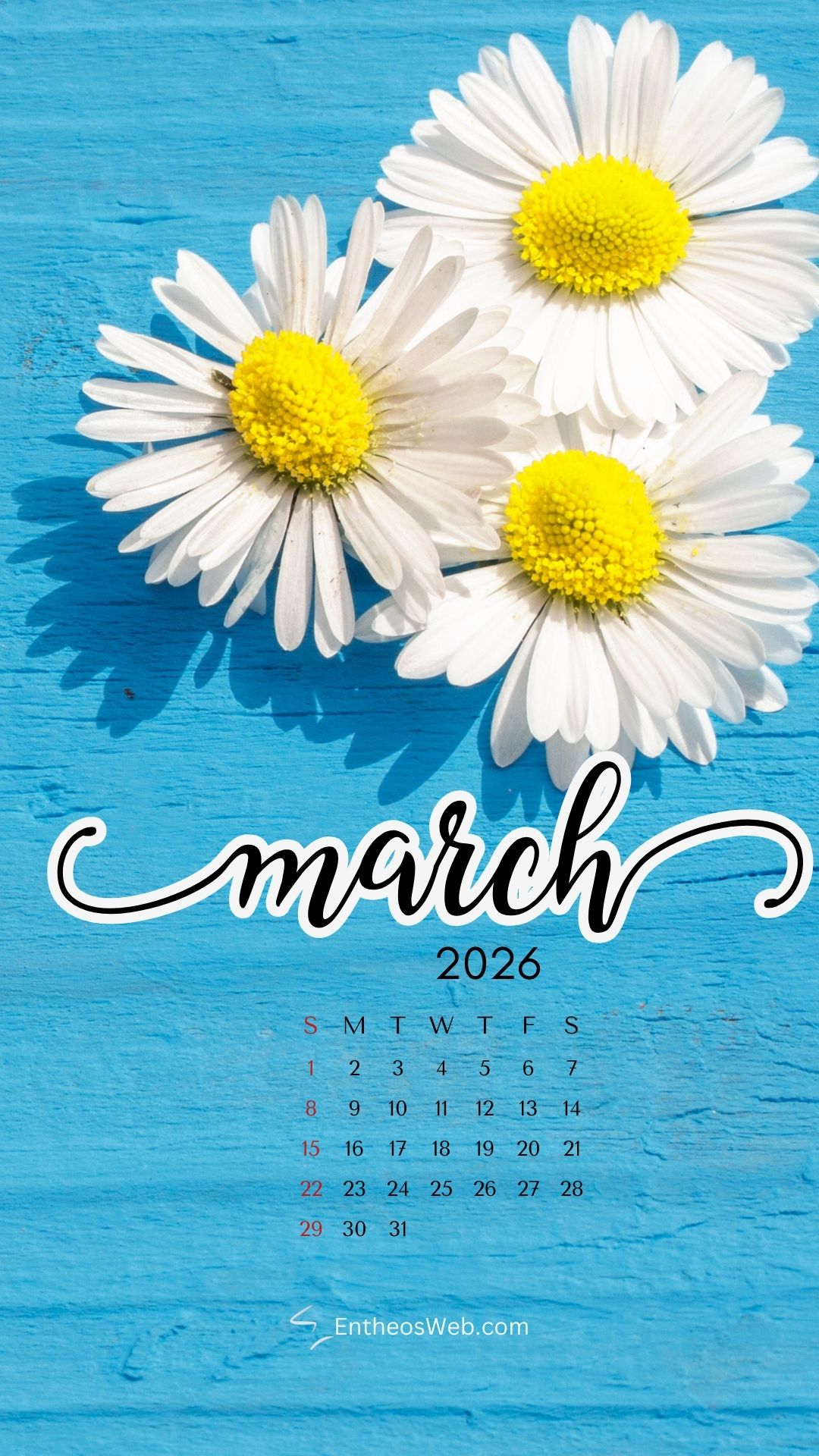Daisies march 2026 phone wallpaper by entheosweb | march calendar wallpaper and screensavers for phones 2026 | entheosweb March 2026 calendar phone wallpaper daisies