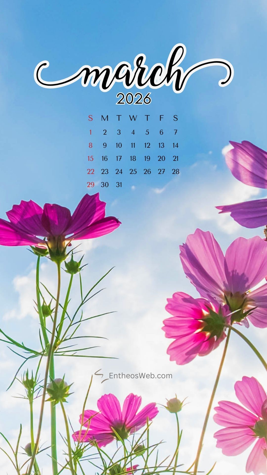 Flowers march 2026 phone wallpaper by entheosweb | march calendar wallpaper and screensavers for phones 2026 | entheosweb March 2026 calendar phone wallpaper flwoers