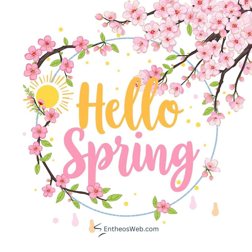 Hello spring cherry blossoms 2