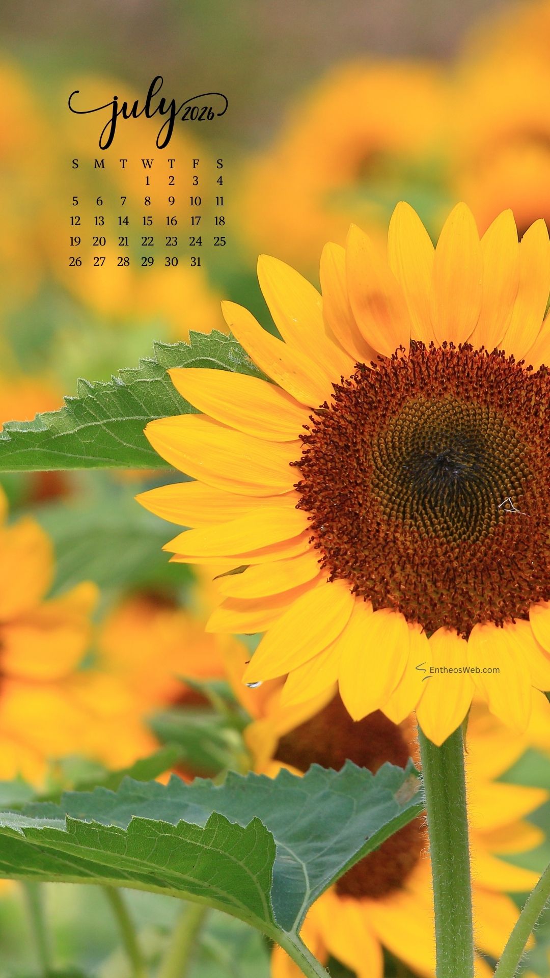 July 2026 Phone Wallpaper Calendar Sunflower 2 | July 2026 Phone Wallpaper Calendar | Entheosweb July 2026 phone wallpaper calendar