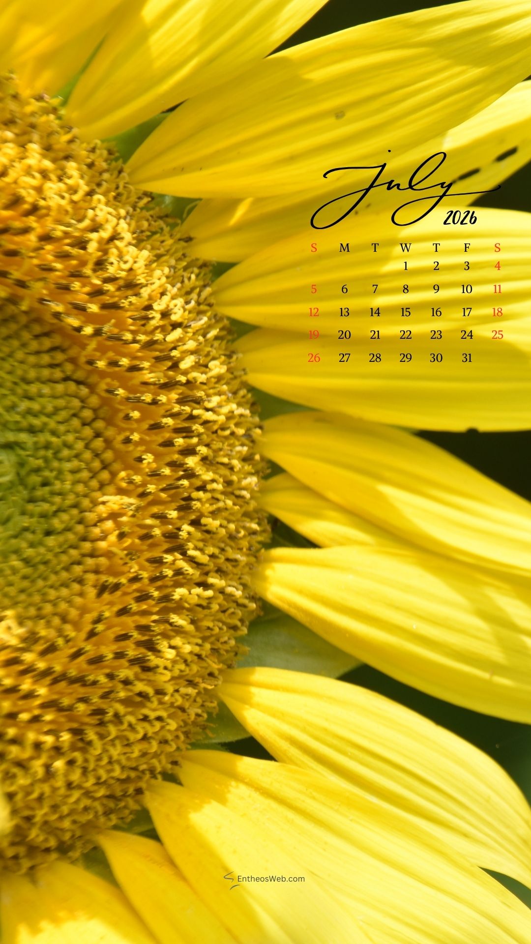 July 2026 Phone Wallpaper Calendar Sunflower | July 2026 Phone Wallpaper Calendar | Entheosweb July 2026 phone wallpaper calendar