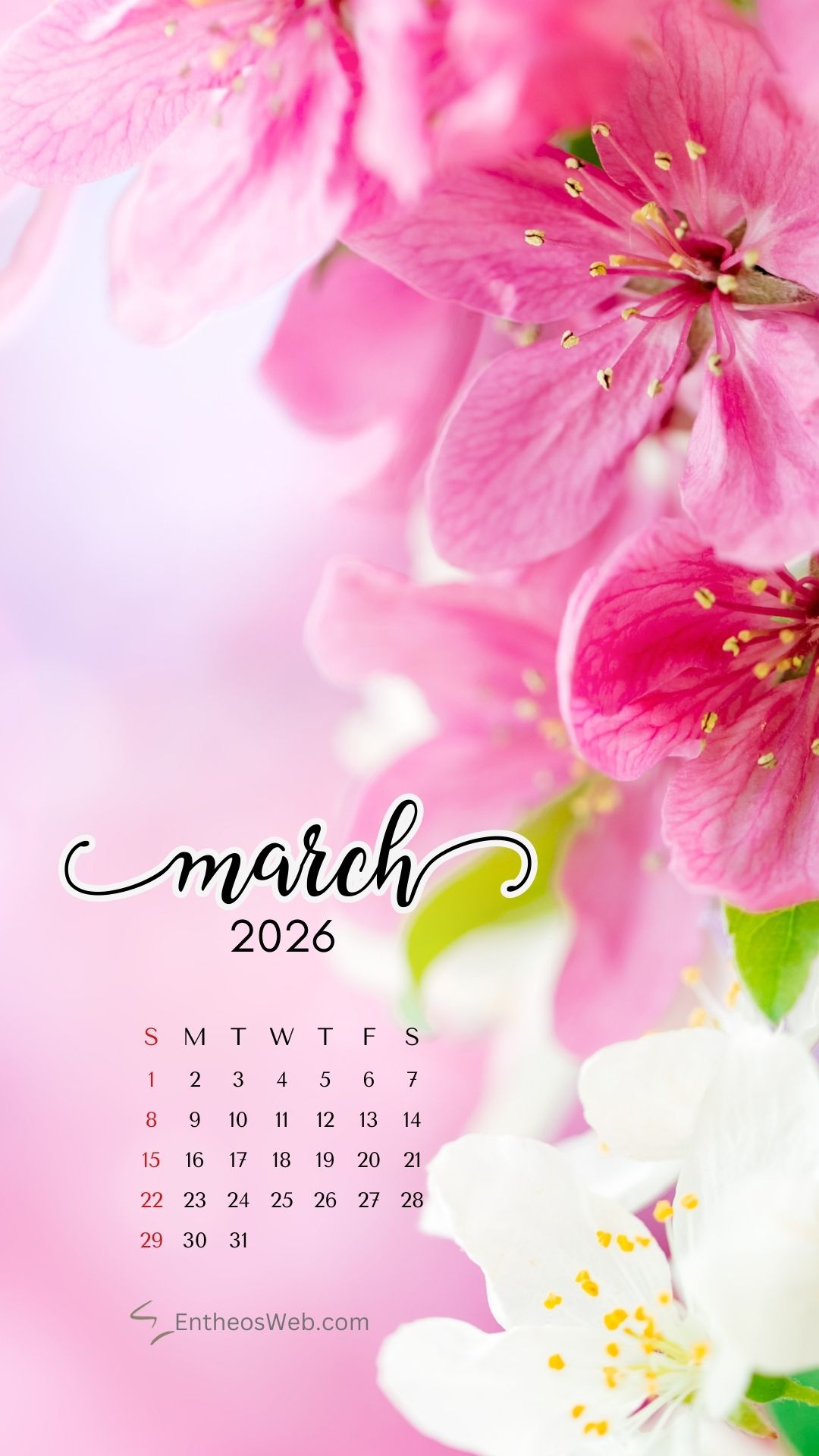 March 2026 phone wallpaper by entheosweb 2 | march calendar wallpaper and screensavers for phones 2026 | entheosweb March 2026 calendar phone wallpaper pink flowers
