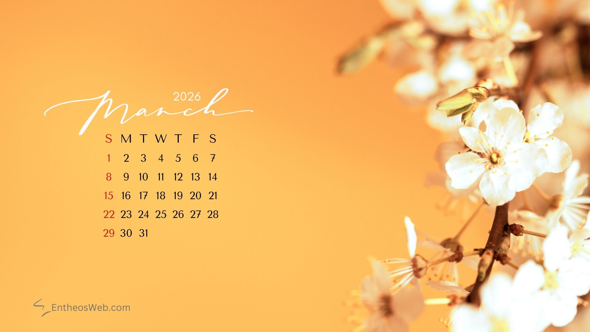 March 2026 wallpaper by entheosweb 4 | march calendar desktop wallpapers 2026 | entheosweb March 2026 calendar desktop wallpaper