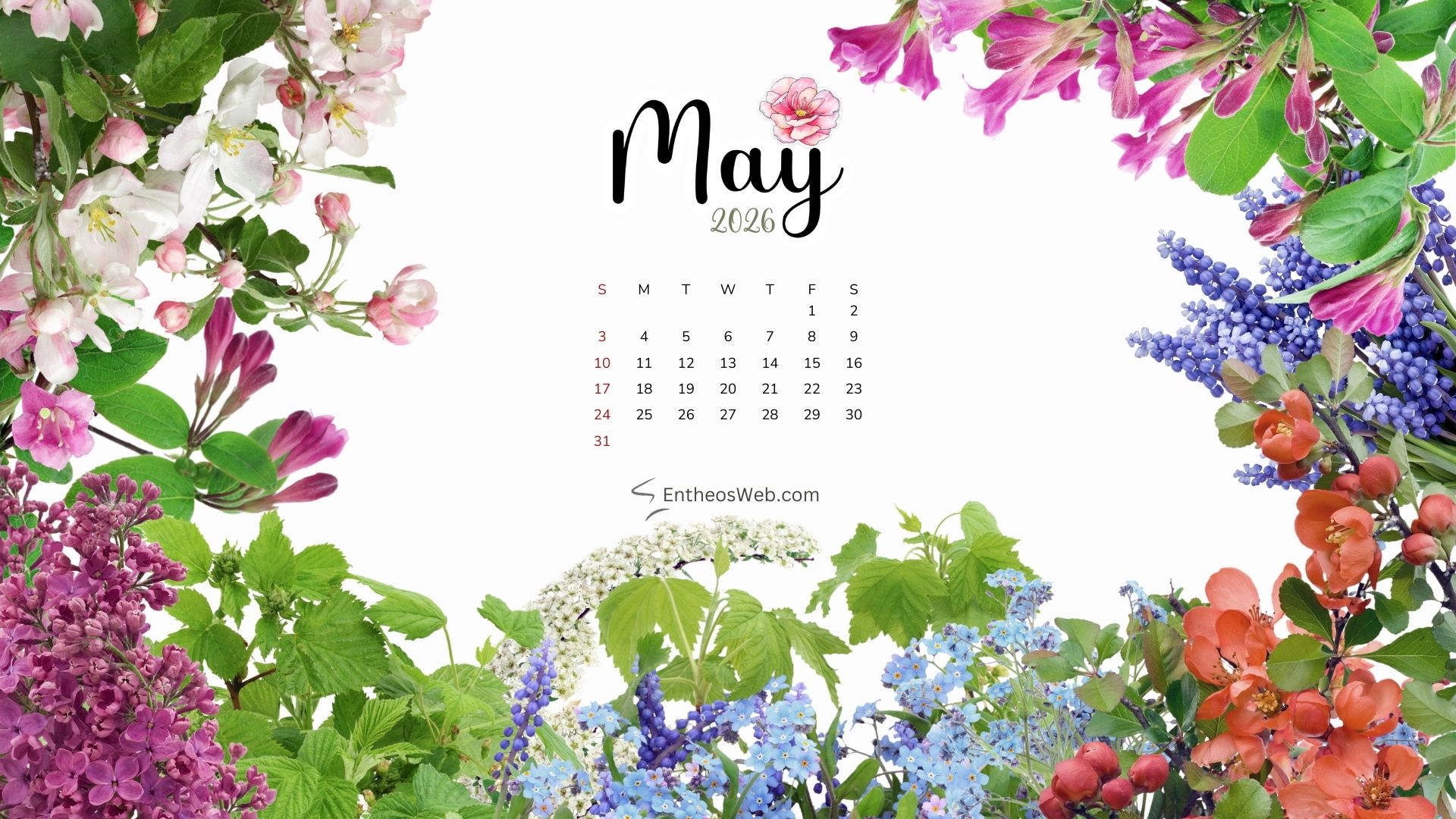 May 2026 Calendar Desktop Wallpaper Flower Frame | May 2026 Desktop Wallpaper Calendar | Entheosweb May 2026 desktop wallpaper calendar