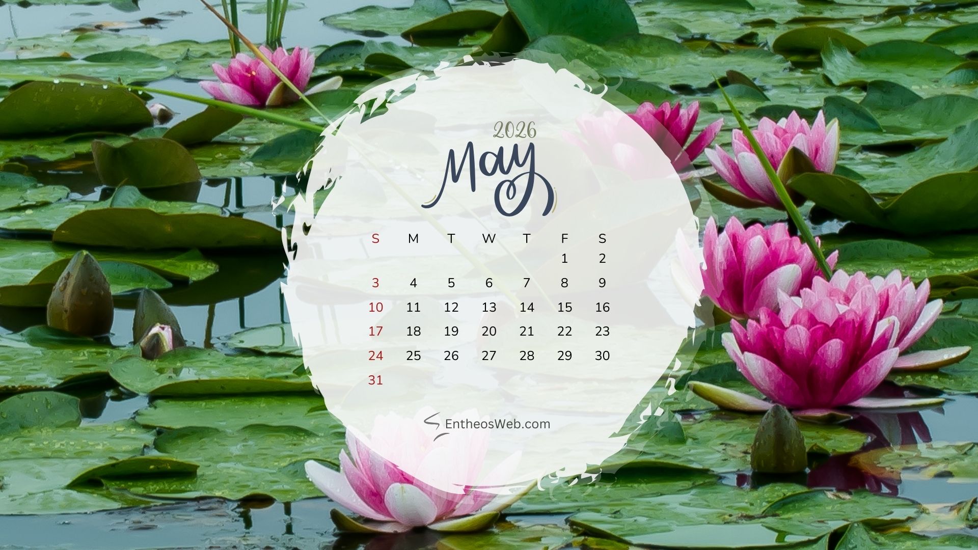 May 2026 Calendar Desktop Wallpaper Lotus Background | May 2026 Desktop Wallpaper Calendar | Entheosweb May 2026 desktop wallpaper calendar