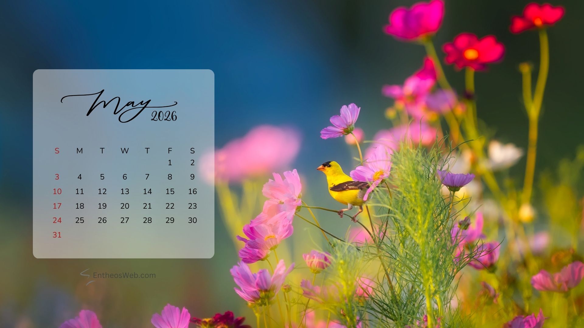 May 2026 Calendar Desktop Wallpaper Spring 2 | May 2026 Desktop Wallpaper Calendar | Entheosweb May 2026 desktop wallpaper calendar