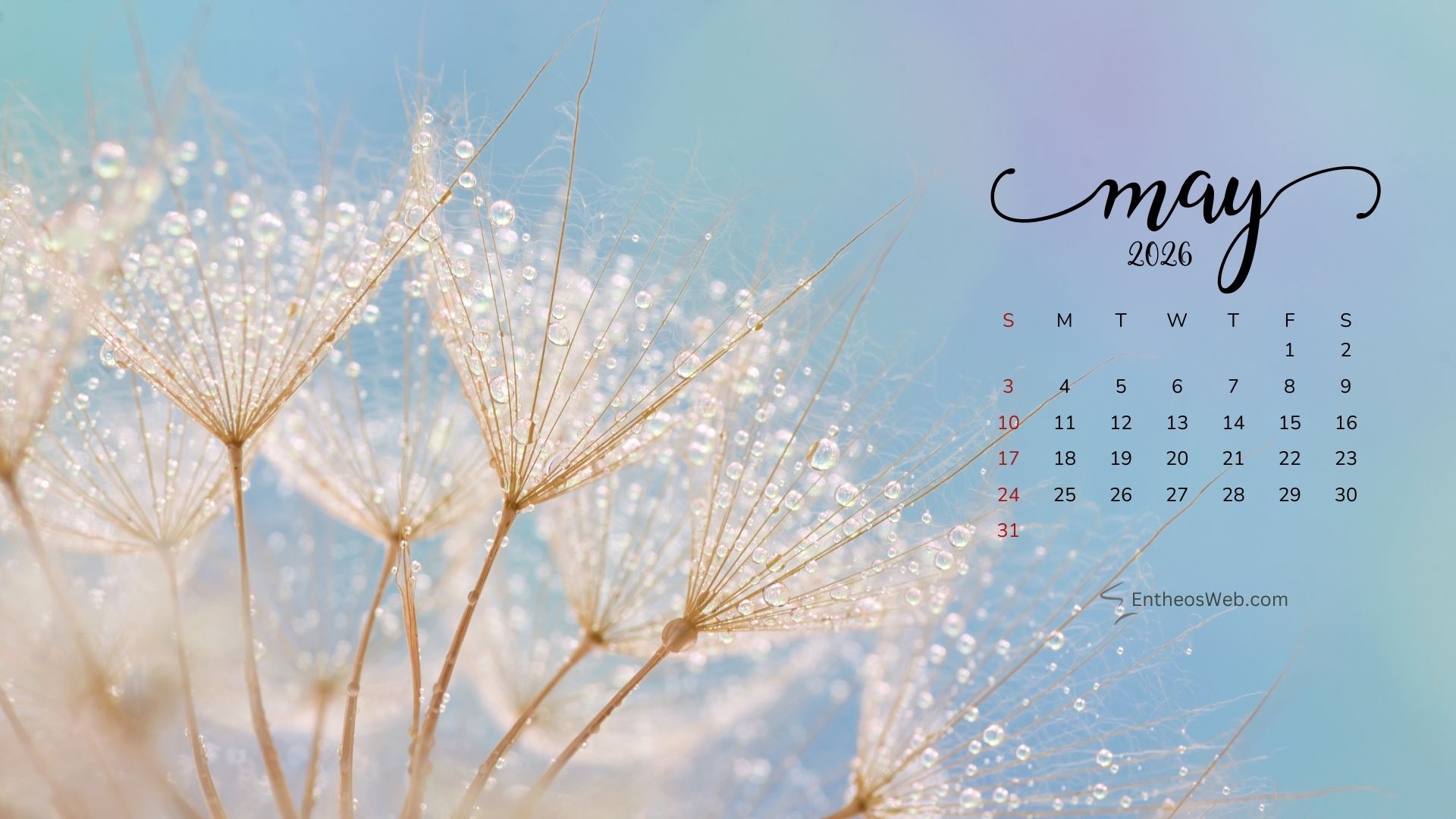May 2026 Calendar Desktop Wallpaper Spring 5 | May 2026 Desktop Wallpaper Calendar | Entheosweb May 2026 desktop wallpaper calendar