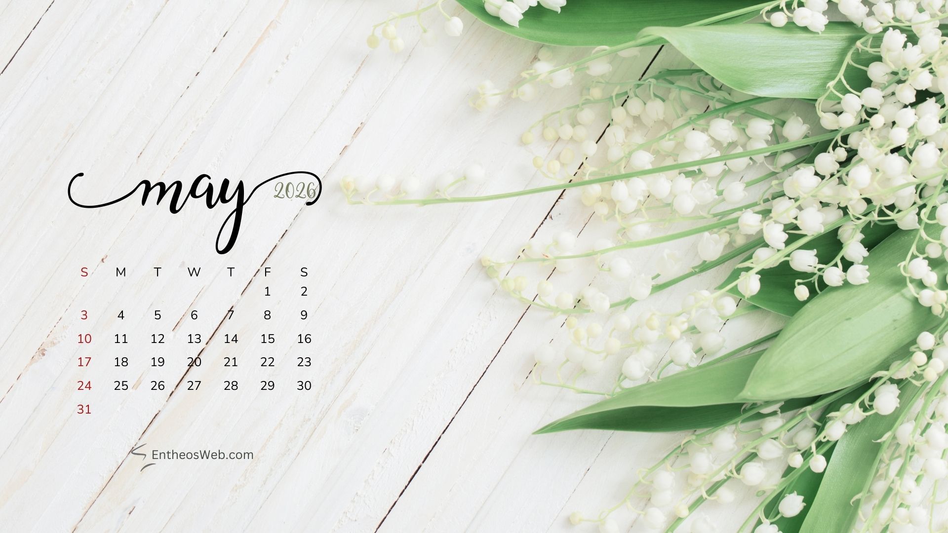 May 2026 Calendar Desktop Wallpaper White Flowers | May 2026 Desktop Wallpaper Calendar | Entheosweb May 2026 desktop wallpaper calendar