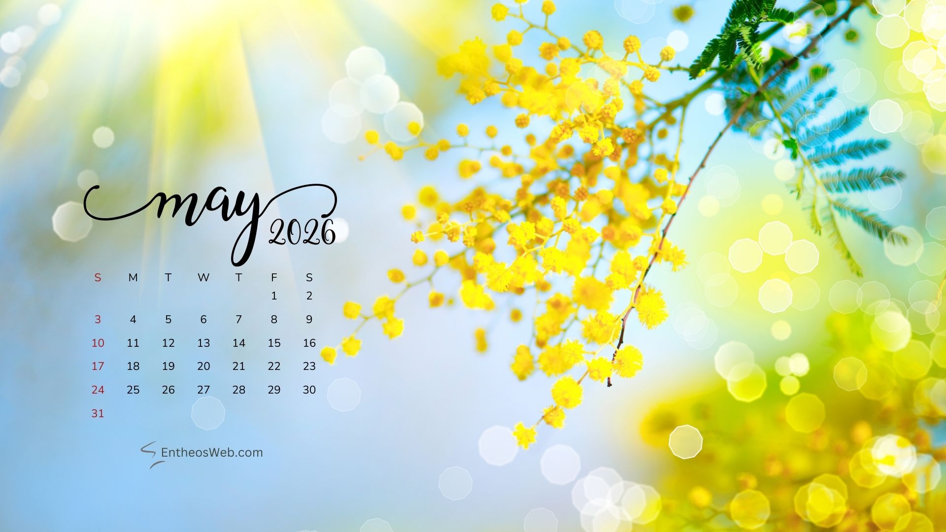 May 2026 Calendar Desktop Wallpaper Yellow Flowers | May 2026 Desktop Wallpaper Calendar | Entheosweb May 2026 desktop wallpaper calendar