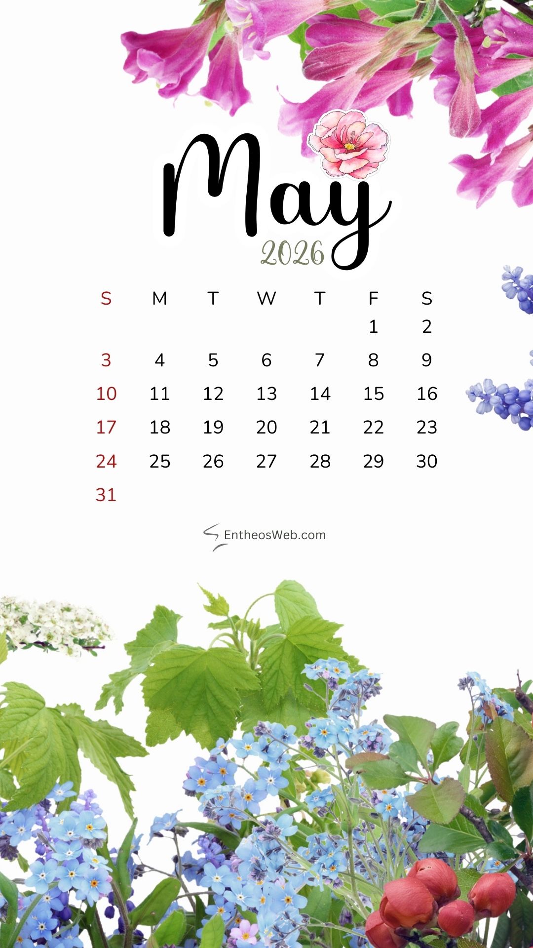May 2026 Calendar Phone Wallpaper Flower Frame | May 2026 Phone Wallpaper Calendar | Entheosweb May 2026 phone wallpaper calendar