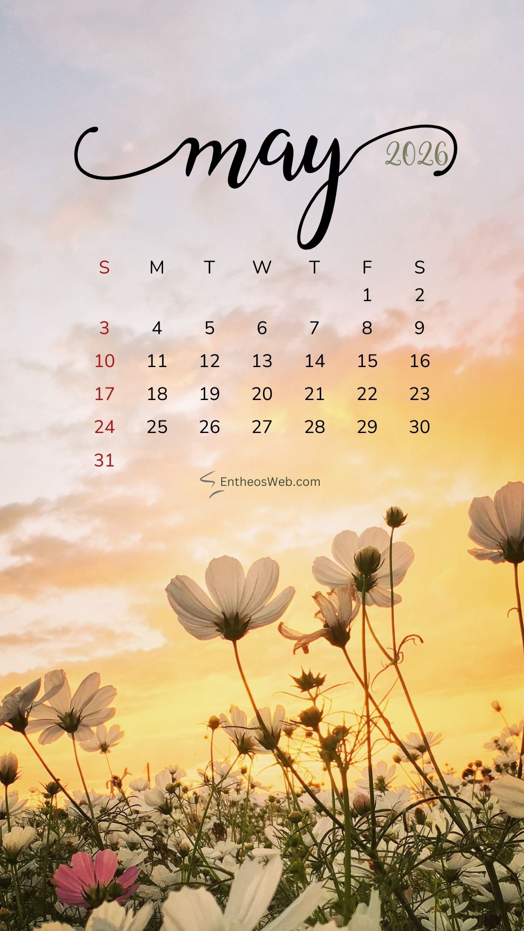 May 2026 Calendar Phone Wallpaper Sunset Flowers | May 2026 Phone Wallpaper Calendar | Entheosweb May 2026 phone wallpaper calendar