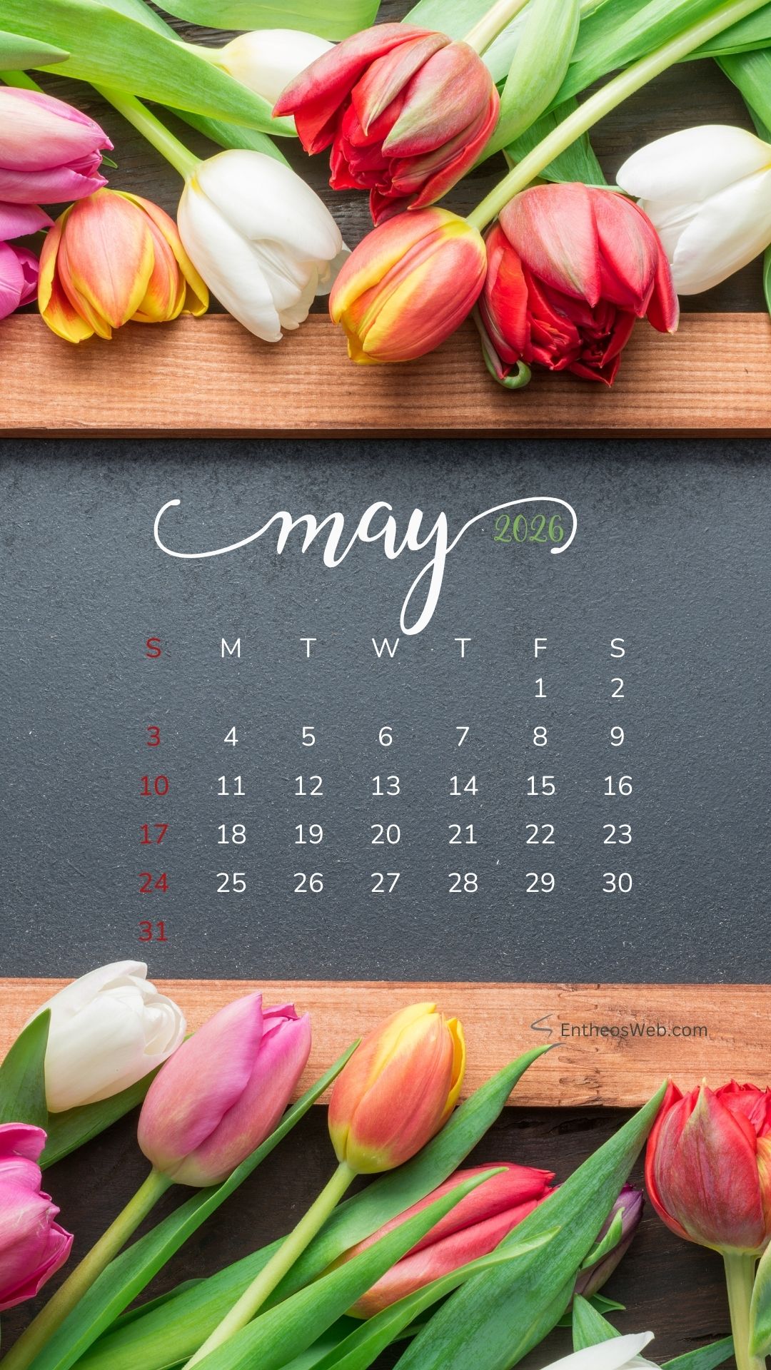 May 2026 Calendar Phone Wallpaper Tulips 3 | May 2026 Phone Wallpaper Calendar | Entheosweb May 2026 phone wallpaper calendar