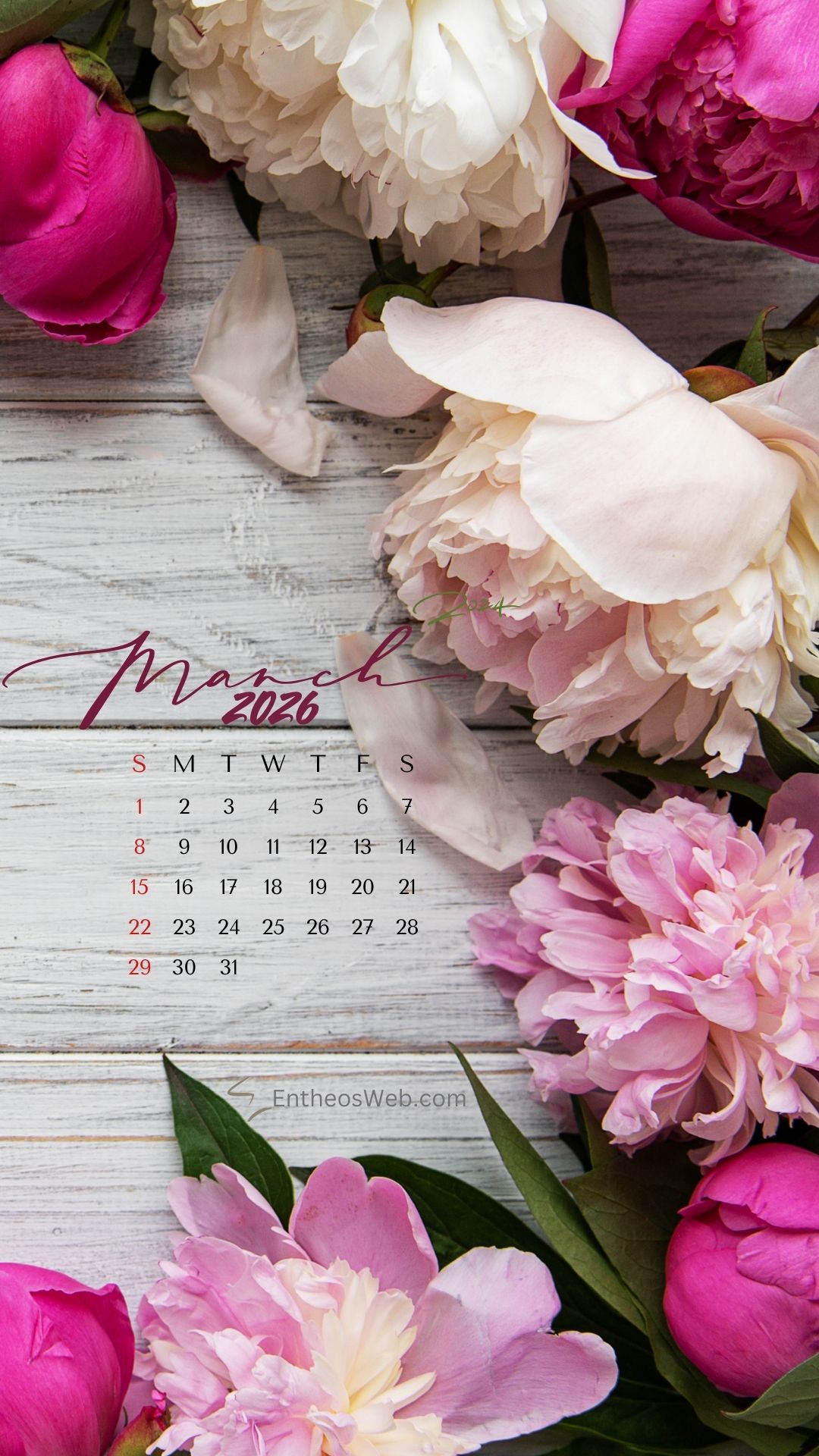 Pink and white flowers march 2026 phone wallpaper by entheosweb | march calendar wallpaper and screensavers for phones 2026 | entheosweb March 2026 calendar phone wallpaper flowers