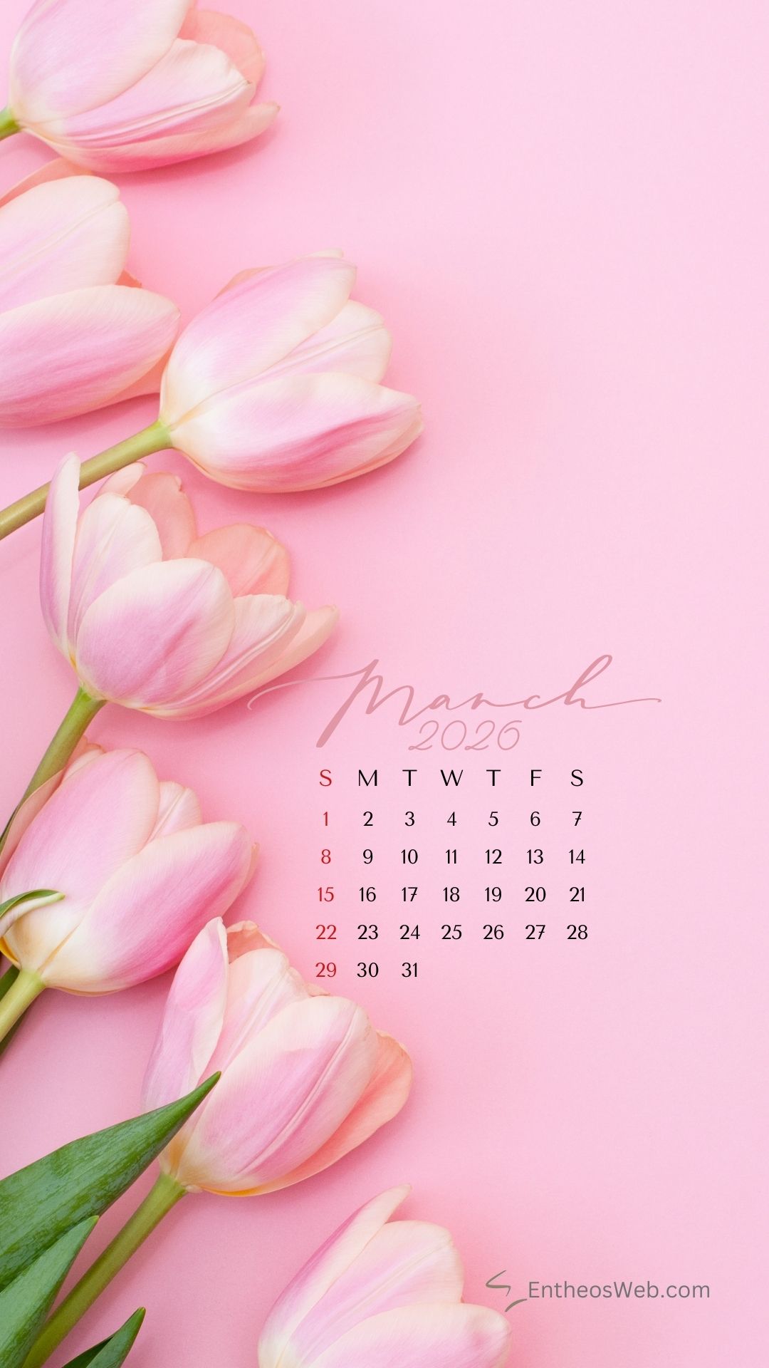 Pink tulips march 2026 phone wallpaper | march calendar wallpaper and screensavers for phones 2026 | entheosweb March 2026 calendar phone wallpaper pink tulips
