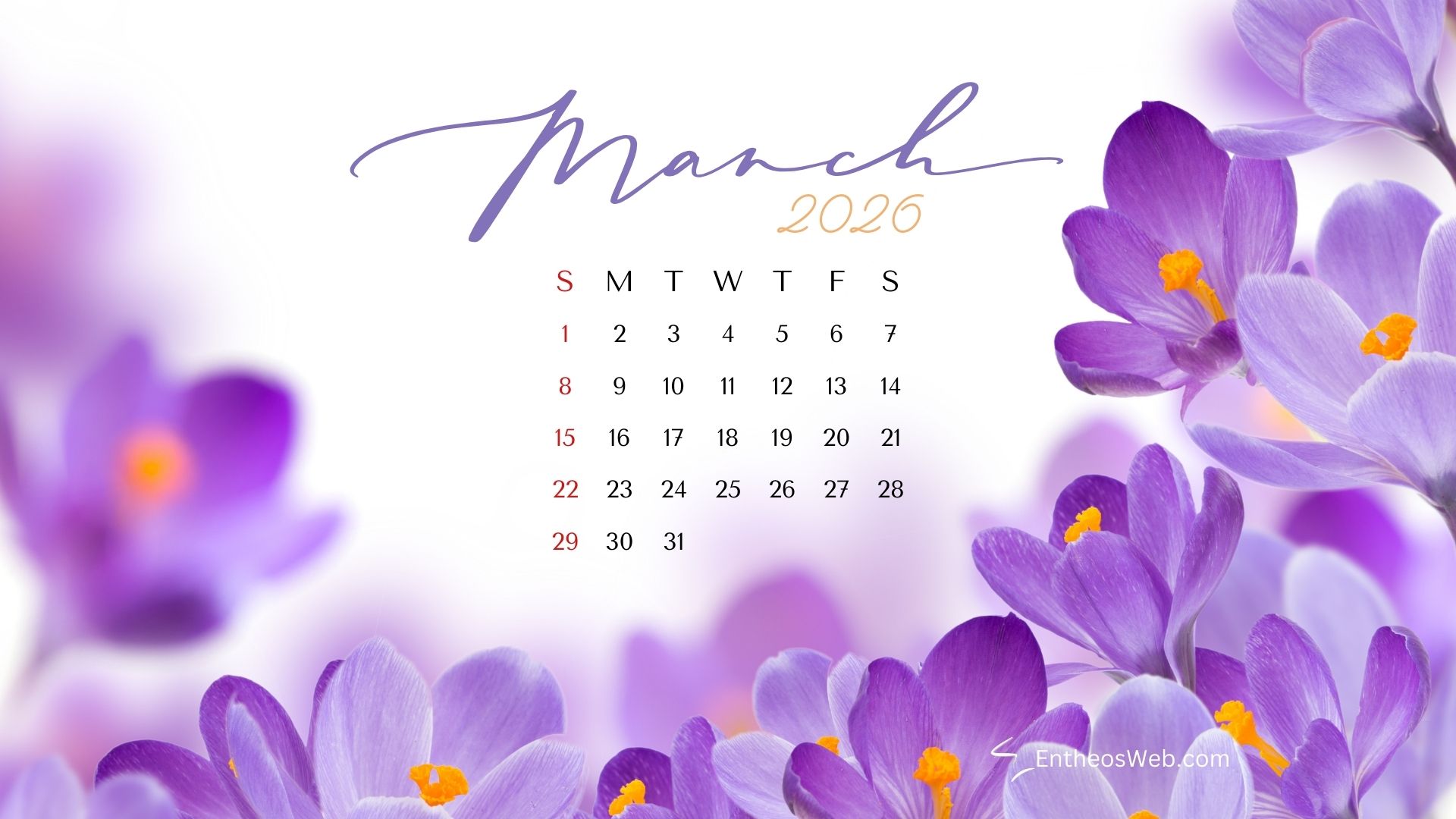 Purple flowers march 2026 desktop wallpaper by entheosweb | march calendar desktop wallpapers 2026 | entheosweb March 2026 calendar desktop wallpaper