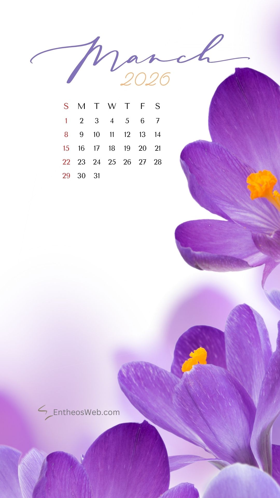 Purple flowers march 2026 phone wallpaper by entheosweb | march calendar wallpaper and screensavers for phones 2026 | entheosweb March 2026 calendar phone wallpaper purple flwoers