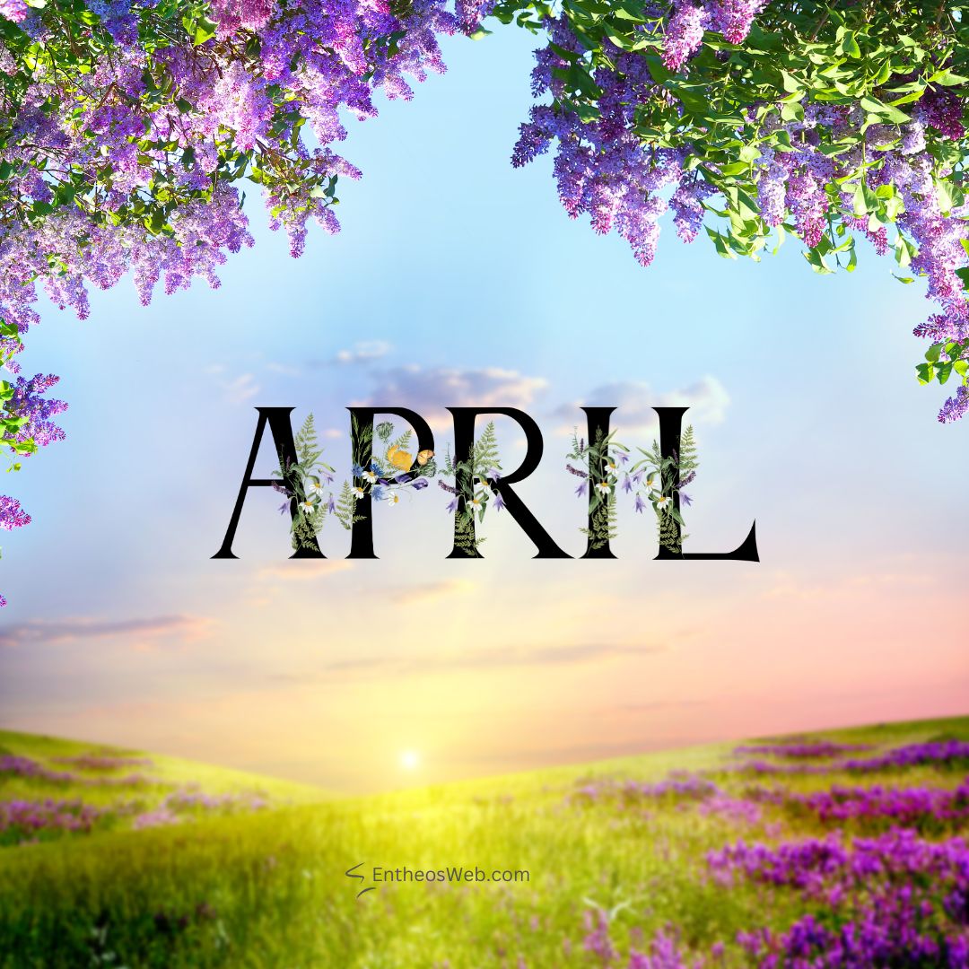 April purple flowers | april images | entheosweb April purple flowers