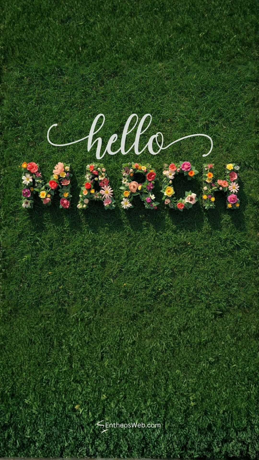 Hello march floral typgrophy with grass background phone wallpaper | hello march images wallaper backgrounds facebook covers | entheosweb Hello march phone wallpaper