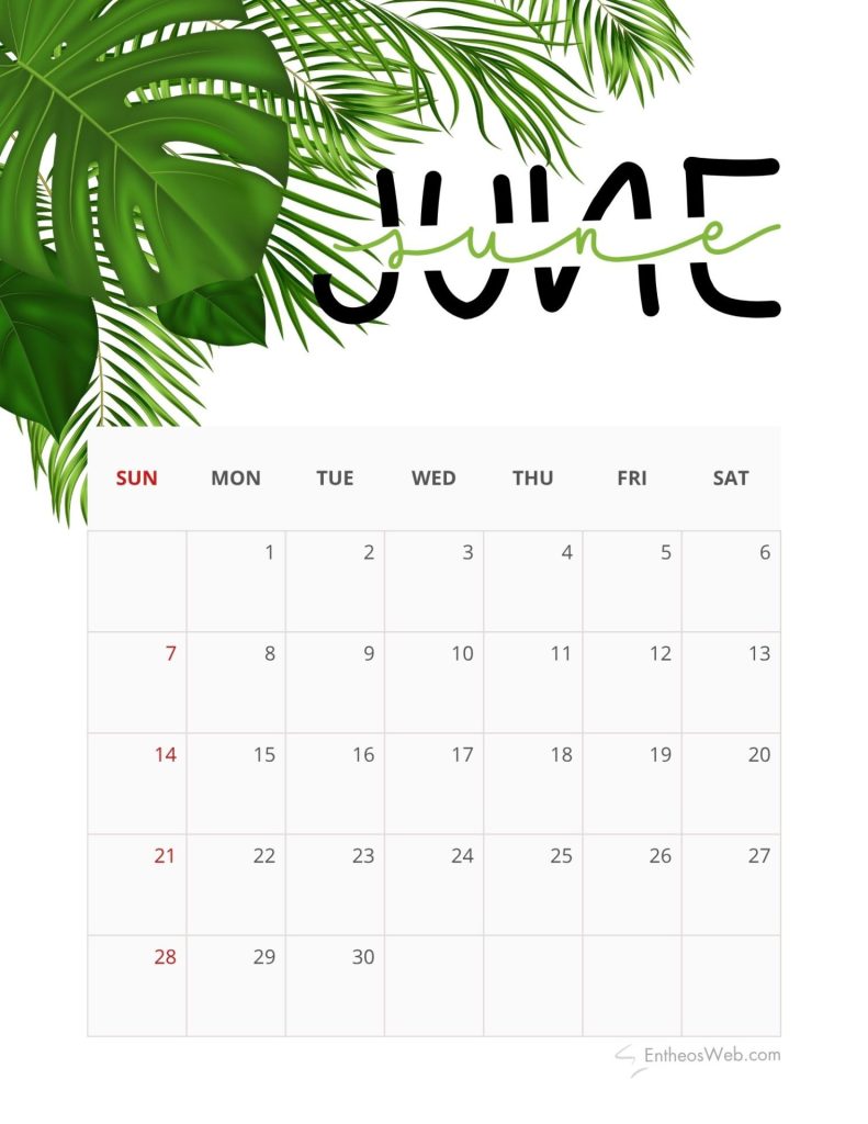 Tropical leaves decorate the top of a calendar grid showing days of the week and numbered dates with sundays in red partial view June 2026 calendar   ferns